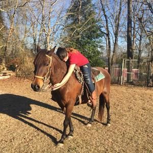 Meet your Posher, Lena